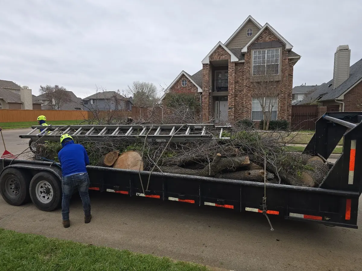 Expert Tree Removal with proper safety equipment in Kerkhoven